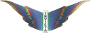 Invicta