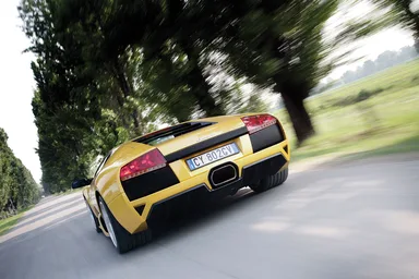 Thumbnail 13